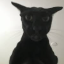 Javier's avatar